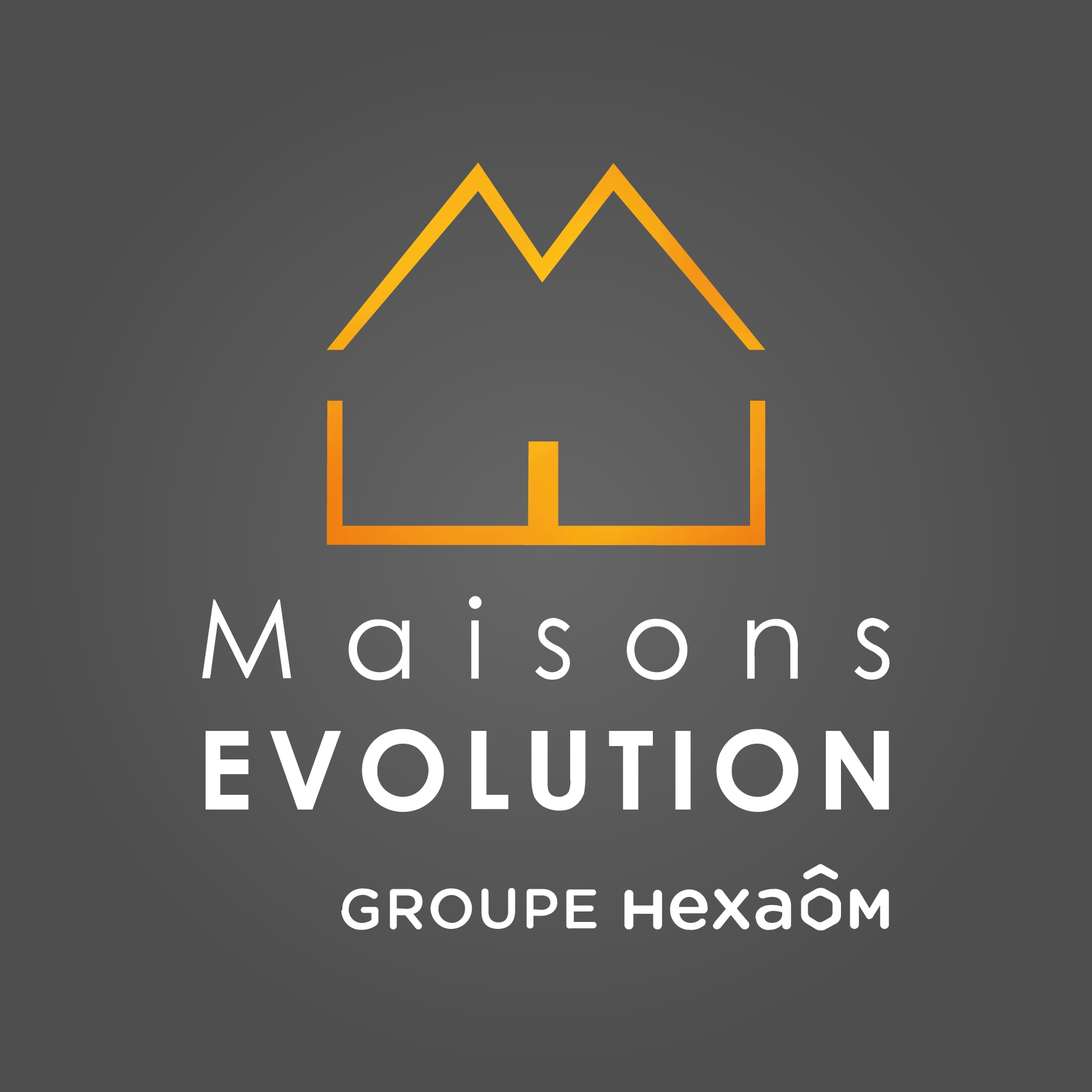 Logo de MAISONS EVOLUTION pour l'annonce 140432914